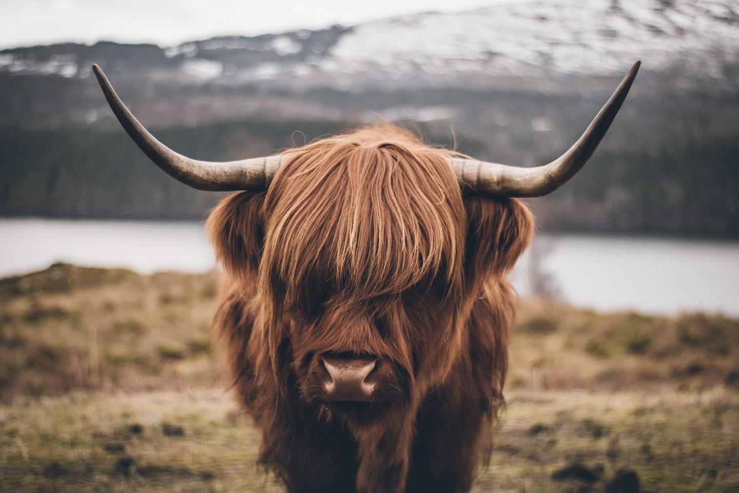 11 tolle Schottland Fotospots | BinMalKuerzWeg