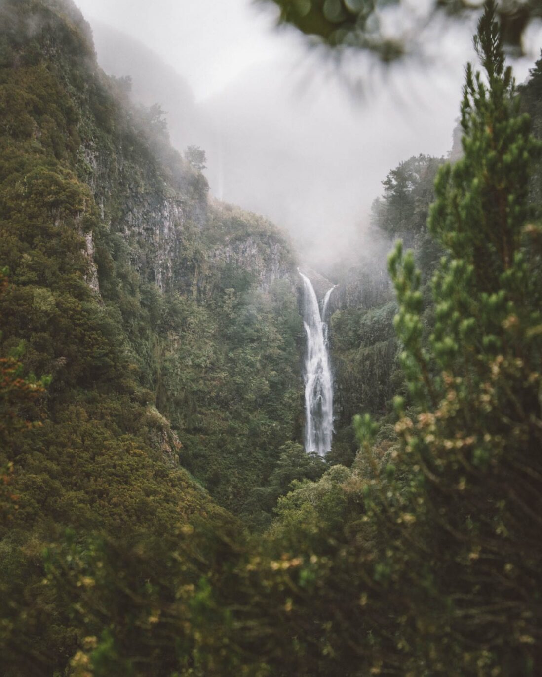 Wanderung 25 Fontes und Risco Wasserfall | BinMalKuerzWeg