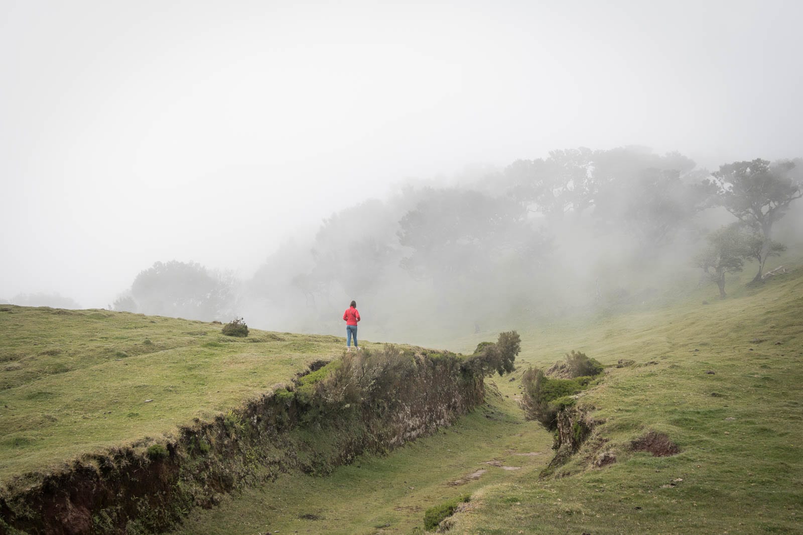 Die 7 schönsten Madeira Fotospots | BinMalKuerzWeg