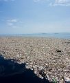 Plastikmüll auf dem Ozean und die Auswirkungen auf Umwelt und den Menschen
