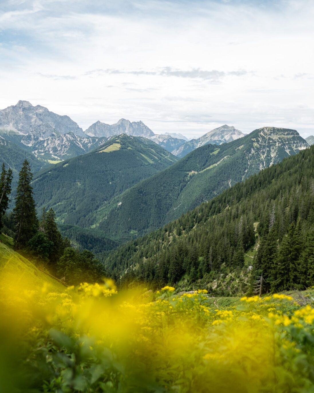 Die Wanderung auf die Tölzer Hütte - Schöne Wanderung und Fotospot in Tirol