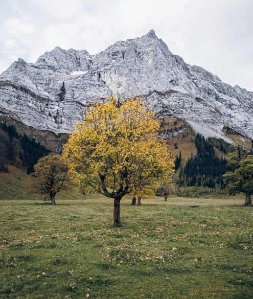Der große Ahornboden gegen Herbst Ende – Einer der schönsten Fotospots in Tirol, Österreich