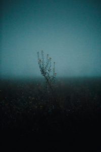 Eine Hommage an den Nebel | BinMalKuerzWeg