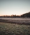 Dietramszeller Waldweiher zum Sonnenaufgang im Winter