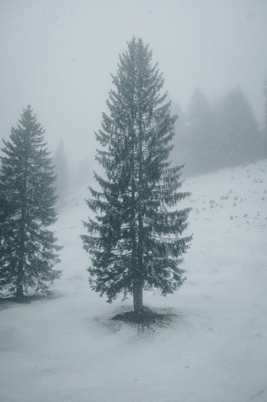 Winter-Wanderung um den hohen Kranzberg | BinMalKuerzWeg