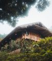 Hütte im Nirgendwo in Nordvietnam