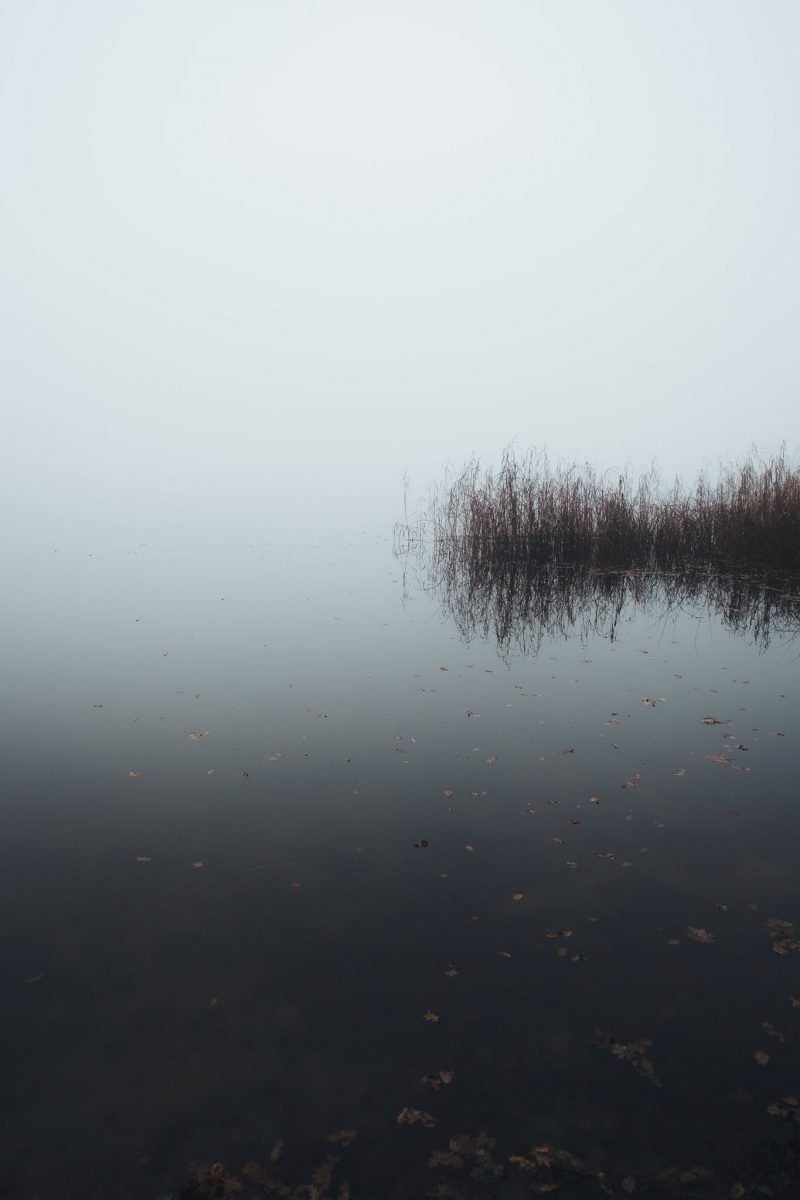 Fotografieren und Rundweg um den Hofstätter See | BinMalKuerzWeg