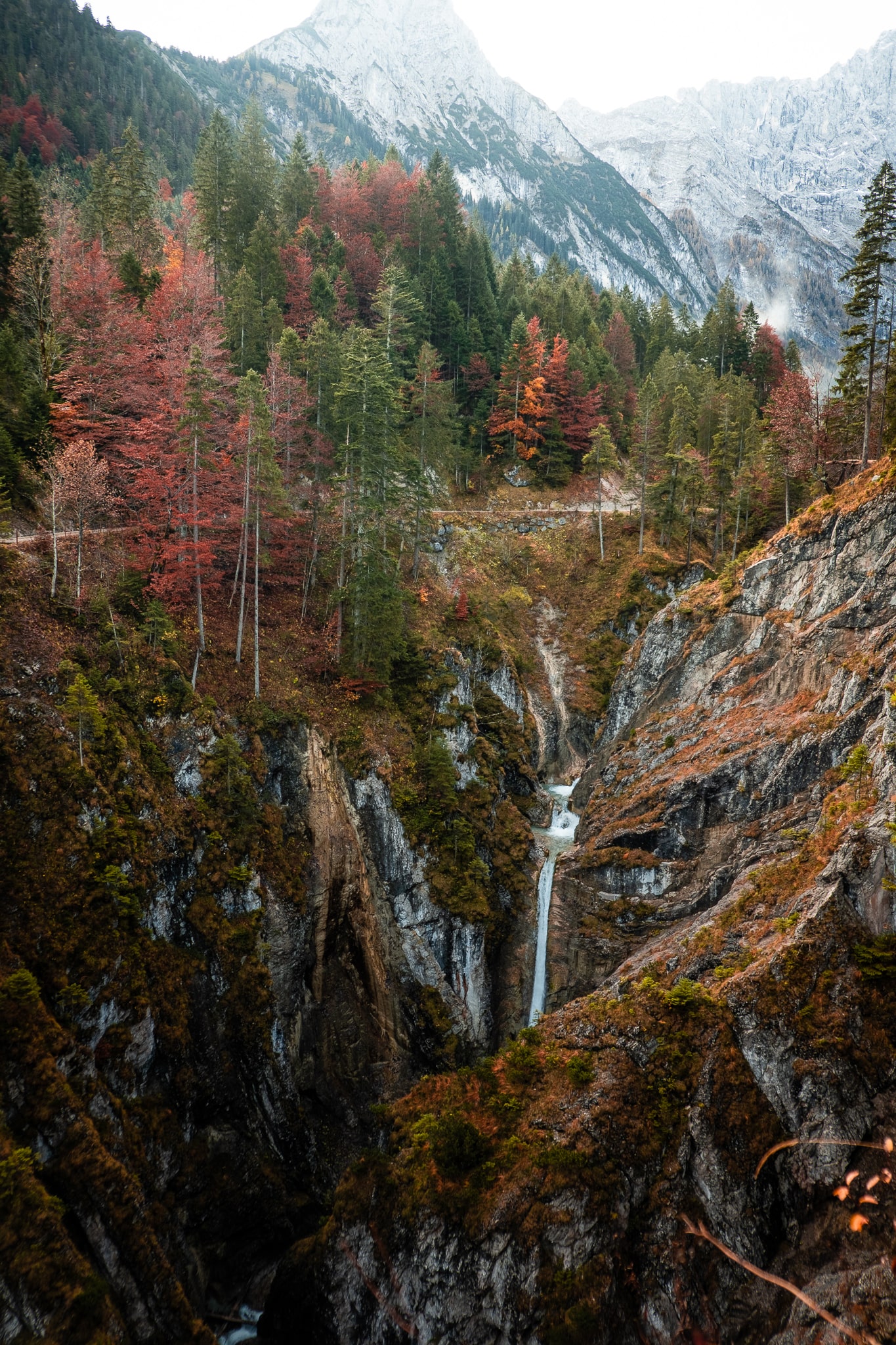 Ahornboden im Herbst – Wander- und Fotoparadies | BinMalKuerzWeg